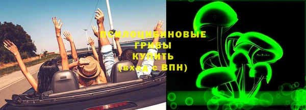 дживик Алексин