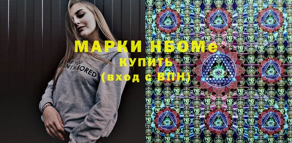 шишки Алзамай