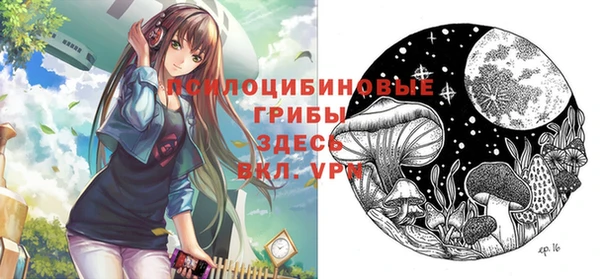 прущая мука Пересвет