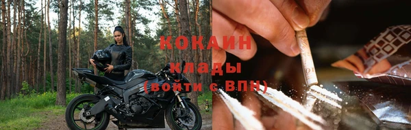 шишки Алзамай