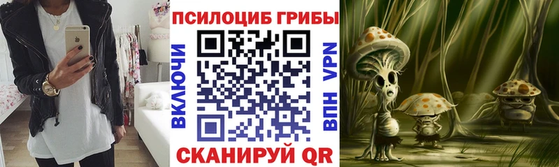 Псилоцибиновые грибы Psilocybe  магазин продажи   Темрюк 
